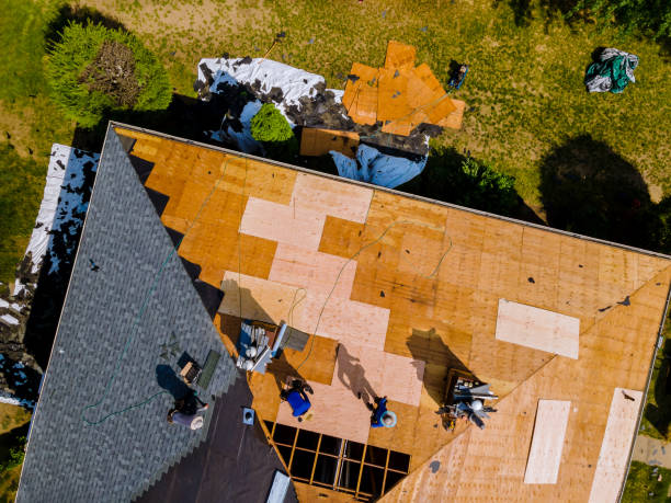 Best Metal Roofing Contractor  in Bushnell, FL