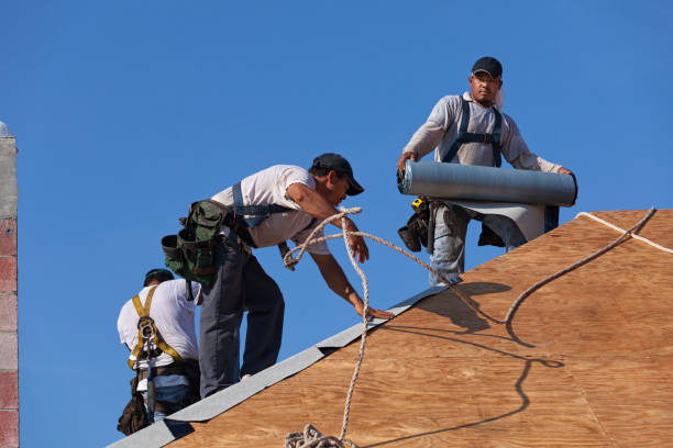 Best Roof Repair Services  in Bushnell, FL
