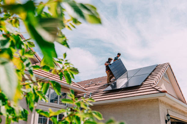 Best Roof Maintenance Services  in Bushnell, FL
