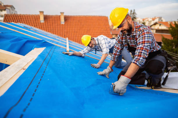 Best Roof Leak Repair  in Bushnell, FL