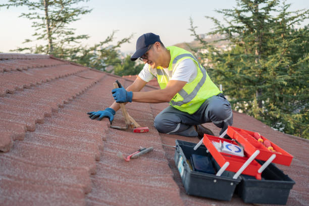 Best Roofing Contractor Near Me  in Bushnell, FL
