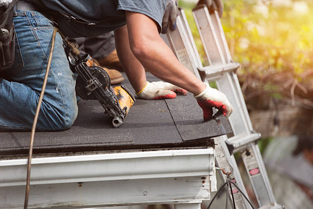 Best Roof Gutter Cleaning  in Bushnell, FL