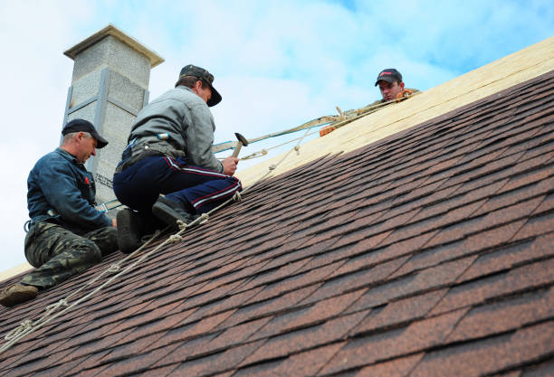 Best Storm Damage Roof Repair  in Bushnell, FL