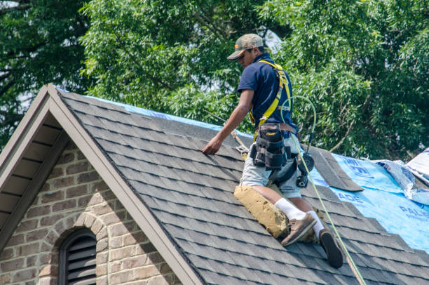 Best Flat Roof Repair Services  in Bushnell, FL